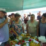 Фестивал на рибата в село Остров