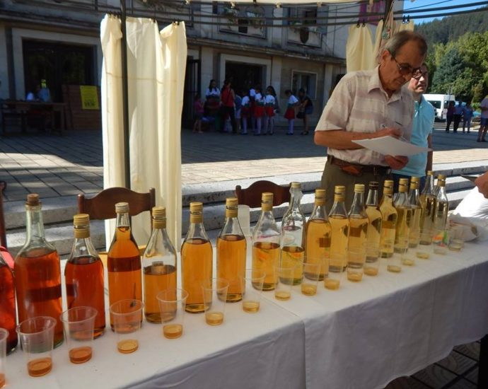 Фестивал на сливата в Троян