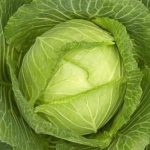 Празник на зелето в с. Петърч