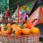 Празник на райската ябълка в с. Хрищени