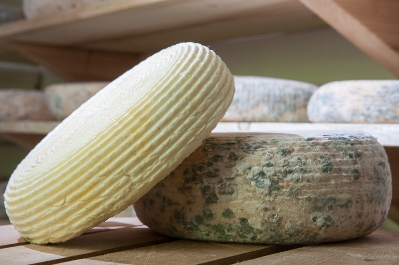 Гастротур "Зелено сирене, крокмач и ябланска халва - ела, вкуси"