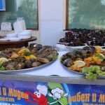 Миден и рибен фест – Каварна 2020