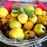 Сакарски дюли - 2020