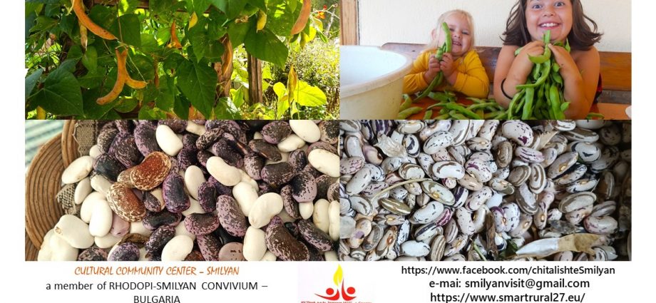 ХХІ Празник на Смилянския фасул