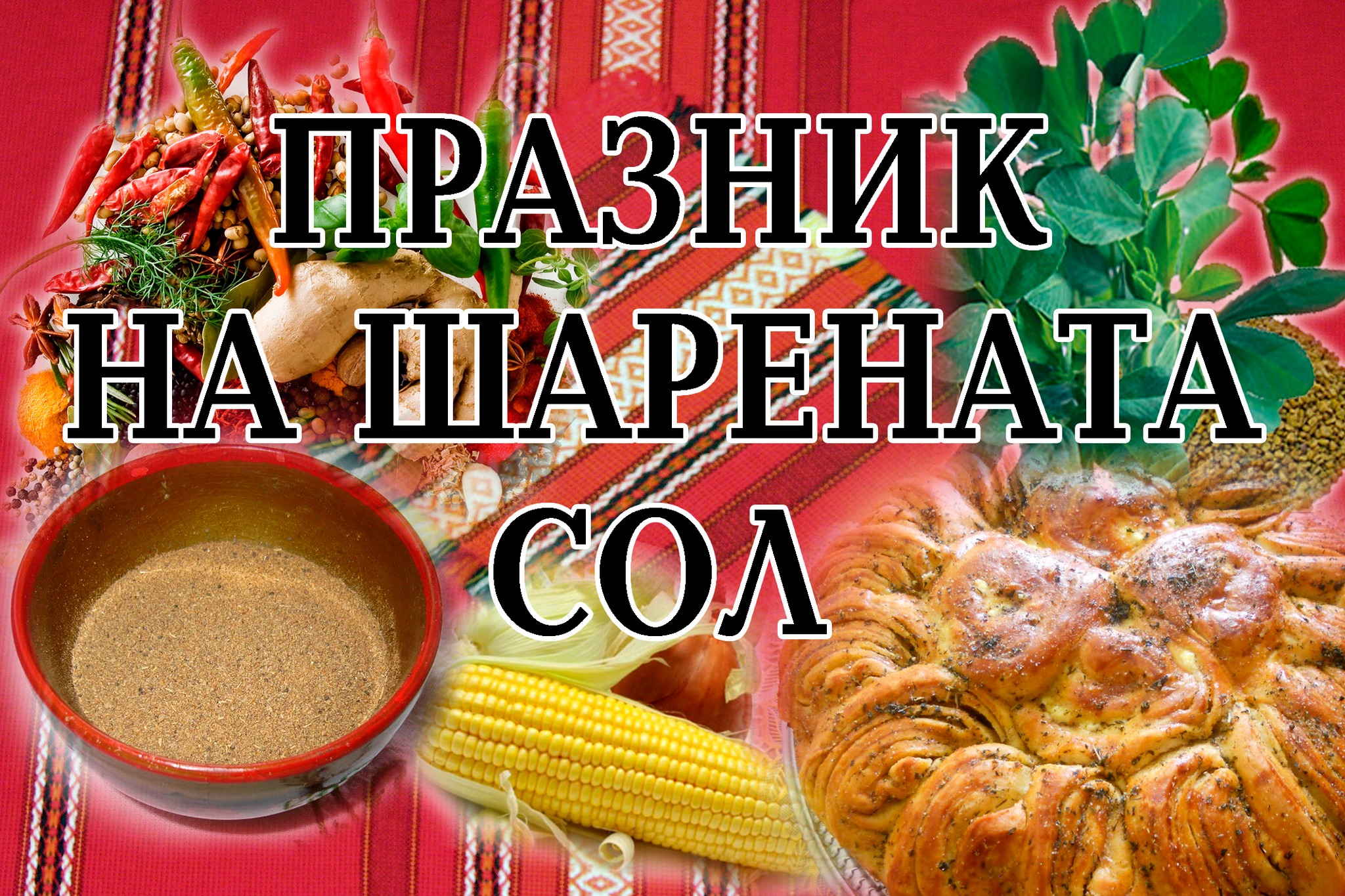 Дванадесети национален „Празник на Шарената сол“ 2024 в с. Бъта