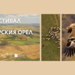 Фестивал на Царския орел в Тополовград