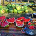 Национален Фестивал на Динения маджун 2025 в с. Смилец