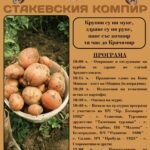 Празник на Стакевския компир в с. Стакевци