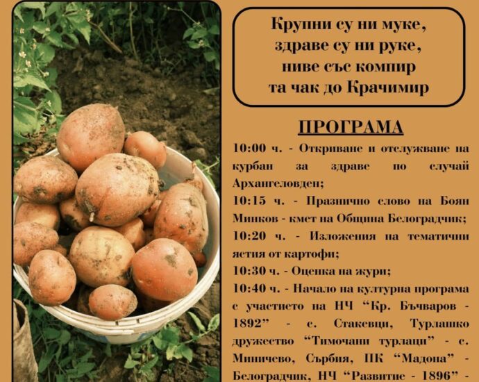 Празник на Стакевския компир в с. Стакевци