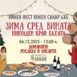 Зима сред вината: Никулден сред лозята - винен фестивал “Южен Сакар 4х4” 2025