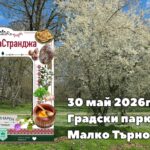 Четвърти Кулинарен фестивал „Вкус(на) Странджа“ и Осми Национален фолклорен фестивал „Хоро в Странджа“ в Малко Търново
