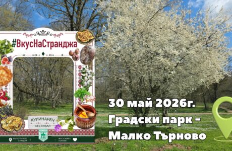 Четвърти Кулинарен фестивал „Вкус(на) Странджа“ и Осми Национален фолклорен фестивал „Хоро в Странджа“ в Малко Търново