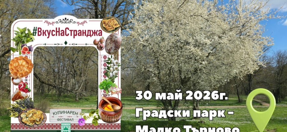 Четвърти Кулинарен фестивал „Вкус(на) Странджа“ и Осми Национален фолклорен фестивал „Хоро в Странджа“ в Малко Търново