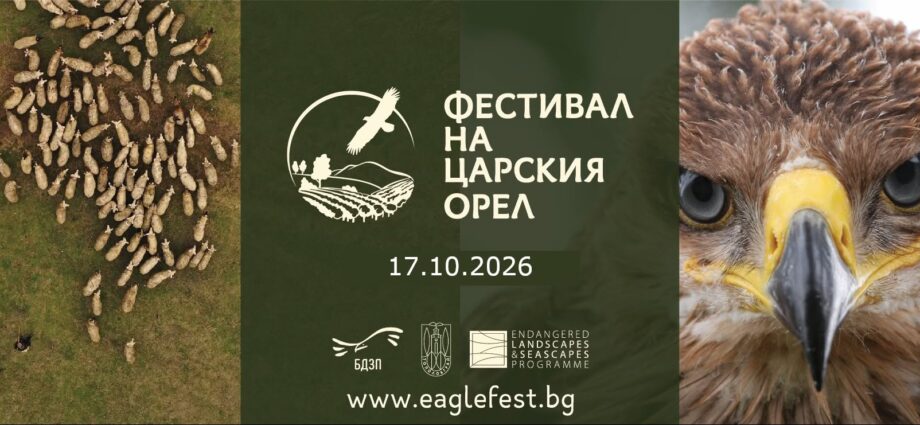 Българското дружество за защита на птиците