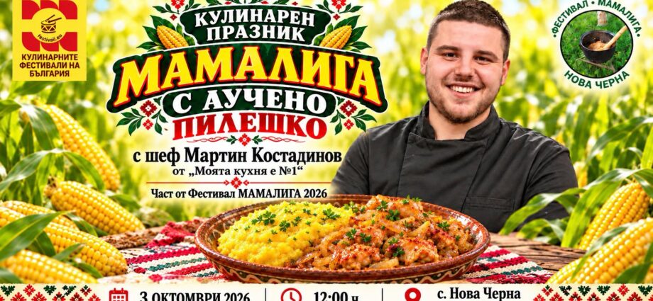 Фестивал МАМАЛИГА 2026.